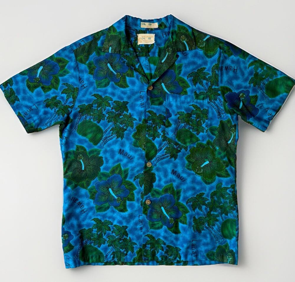 Vintage Royal Hawaiian Loop Collar Shirt M Multicolor 70s Vacation AOP Art